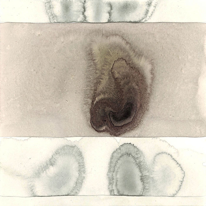 imagen 19. chapman expo